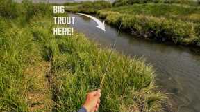 The Best Kept Secret! (Fly Fishing) 24 INCH Trout in Every Hole...