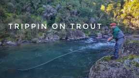 Fishing with HIM Again! Epic Backcountry Fly Fishing
