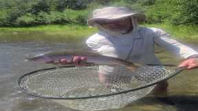 Yakima River Fly Fishing Report July 12th, 2024 Worley Bugger Fly Co