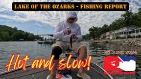 Lake of the Ozarks Bass Fishing - 25 June 2024 | Fishing report