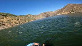 Most epic striped bass fishing ever! ( Pyramid lake, CA )