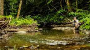 Exploring a Hidden Gem | Fly Fishing for Wild Trout on a Small Overlooked Stream - Central, NY