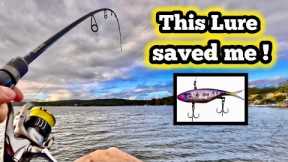 Casting lures for 9 hours on Lake Macquarie - was it worth it ?