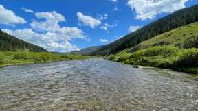 Fly fishing for Rainbow Trout in Yellowstone National Park - Part 1
