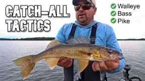 3 Tactics that Catch EVERYTHING in the Lake