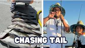 Deep Sea Fishing | Catching Bass, Clean, Then Cook! DUDE @dansportfishing