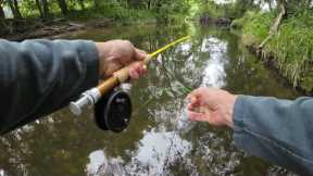 AVOID These 8 Common MISTAKES many FLY FISHERMAN do LOOKING for BROWN TROUT (NICE FISH CAUGHT)