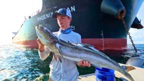 This CUSTOM-BUILT Fishing Boat is a Cobia Catching Dream! CATCH-CLEAN and COOK!