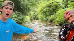 FLY fishing PRISTINE mountain stream for JUMBO trout