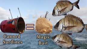 How To Make Magic Bait (Less Than 1$) With Canned Sardines - #Catch-More-Fish