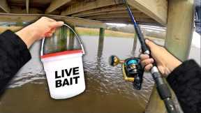 Fishing UNDER Docks.. Eating Whatever I Catch (Catch and Cook)