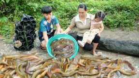 How to trap eels to sell at the market & Cook nutritious eel porridge for children