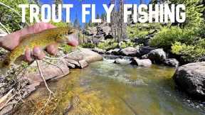 Fly Fishing a Remote Idaho Stream for Trout!