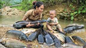 Meet a giant school of fish - catch fish to sell at the market - cook with your son