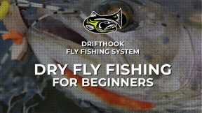 Dry Fly Fishing for Beginners