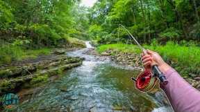 My BEST few hours of Summer Fly Fishing!! (Streamer Fishing for Trout)