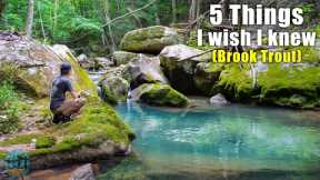 Fly Fishing for Beginners || 5 Things I Wish I Knew When I Started Brook Trout Fishing!