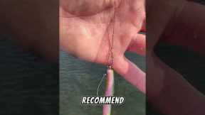 The Best Way To Fish A Texas Rig For Bass! #fishing #bassfishing