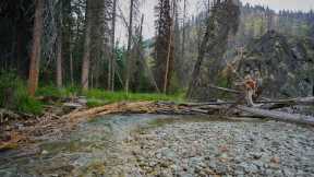 Couldn’t Stop Catching 20+ Inch Bull Trout | Backpacking Fly Fishing