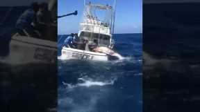 Blue marlin battle