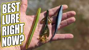 Best Lure for Bass Fishing Right Now? Which Walmart Lure Catches Bass