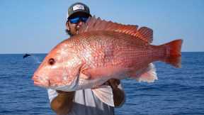 Fishing 100 miles offshore for American Red Snapper *Catch N Cook*