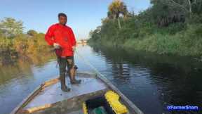 🇬🇾 ST JOHNS RIVER | HASSA |  CATCH | CLEAN | COOK | HASSA CURRY | Cascadoux | Tamuatá | Kwie Kwie