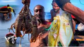 DANGEROUS iNFESTED SHARK WATER ￼LOBSTER JACK CATCH N COOK