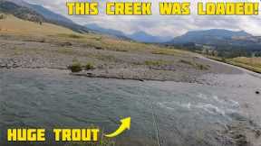 This Creek was FULL OF TROUT and They Were HUGE! - Fly Fishing Soda Butte Creek - Yellowstone NP