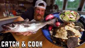 Pollock Catch and Cook - Simple Fish Recipe