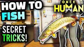 Once Human - Fishing Guide, How To Fish, Best Way To Catch Fish, Fishing Mechanics Explained