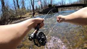 FLY FISHING FOR THE FIRST TIME EVER!!! (Tutorial from Cast to Catch)