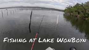 Soft Plastics and Bait Fishing with Steve at Lake Wonboyn