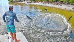 I Caught the Best Eating Fish Ever in a *HUGE NET* (How to Catch Clean & Cook)