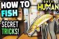 Once Human - Fishing Guide, How To