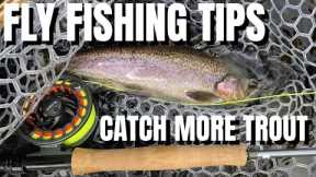 Catch MORE Trout by doing THIS! Trout Fly Fishing Tips