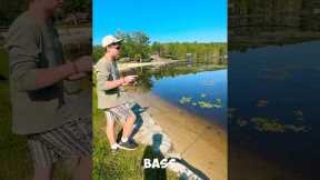 Smallest bass in the lake #fish #fishing #bassfishing #lake #funny