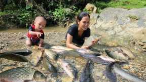 Meeting a giant school of fish - catching and trapping fish on a rainy day - cooking with my son