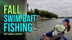 Fall Swim Bait Fishing At Lake Lanier