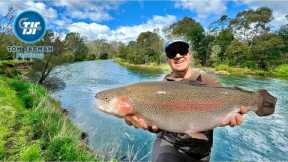 Early Season Fly Fishing on the Goulburn River