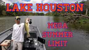 Bass Fishing on Lake Houston