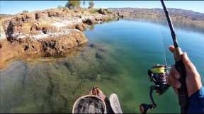 Spring Bass Fishing on Lake Berryessa