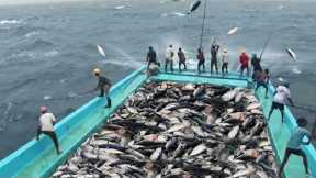 Amazing Fast Tuna Fishing Skill, Catching Fish Big  on The Sea