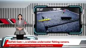 GoFish Cam--, a wireless underwater fishing camera.