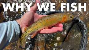 THIS Is the Key to Finding Good Creeks to Fish! (Tenkara Fly Fishing)