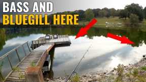 Fall Fishing For Bass And Bluegill - GULP Minnow Fishing From Shore