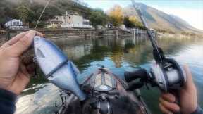 Fall Bass Fishing Clear Lake, CA (Benefit Tournament)