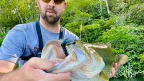 BIG BASS ALERT!!!  Fishing a Small Lake was Surprising