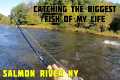 Fly Fishing for the Strongest Fish Of 