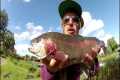 Simple Fly Fishing Tips for Catching